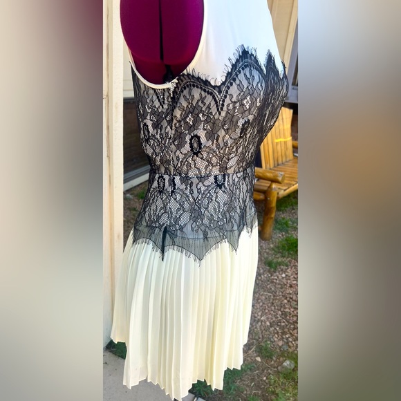 Darling Brand Black & White Lace Pleated Dress - Picture 7 of 7